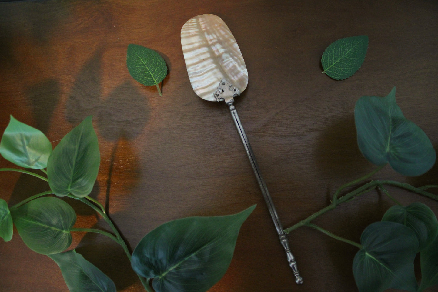 Victorian Shell Spoon