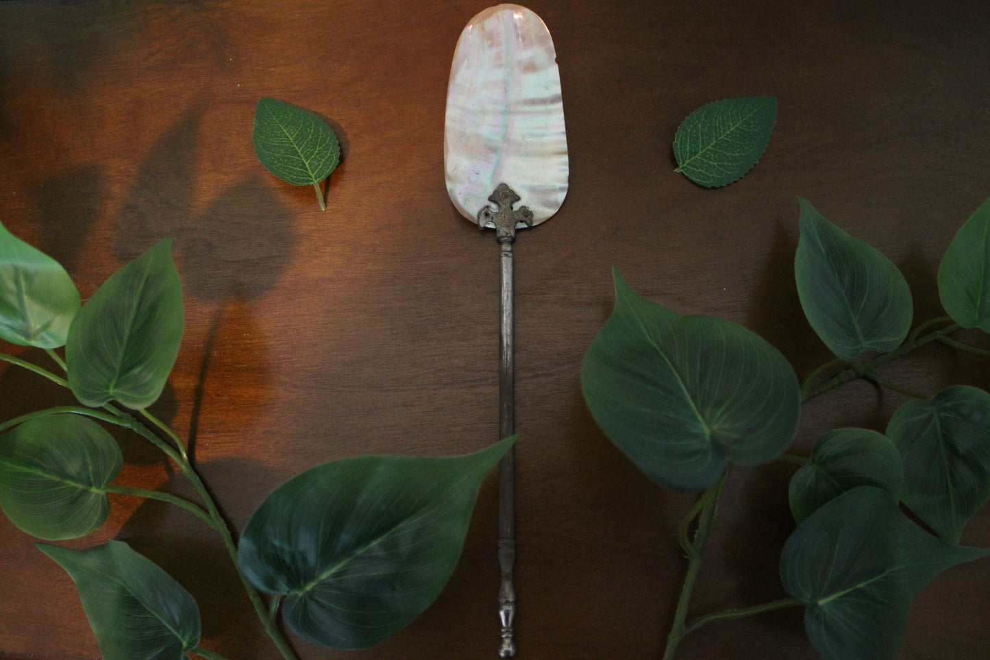 Victorian Shell Spoon