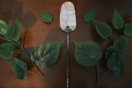 Victorian Shell Spoon